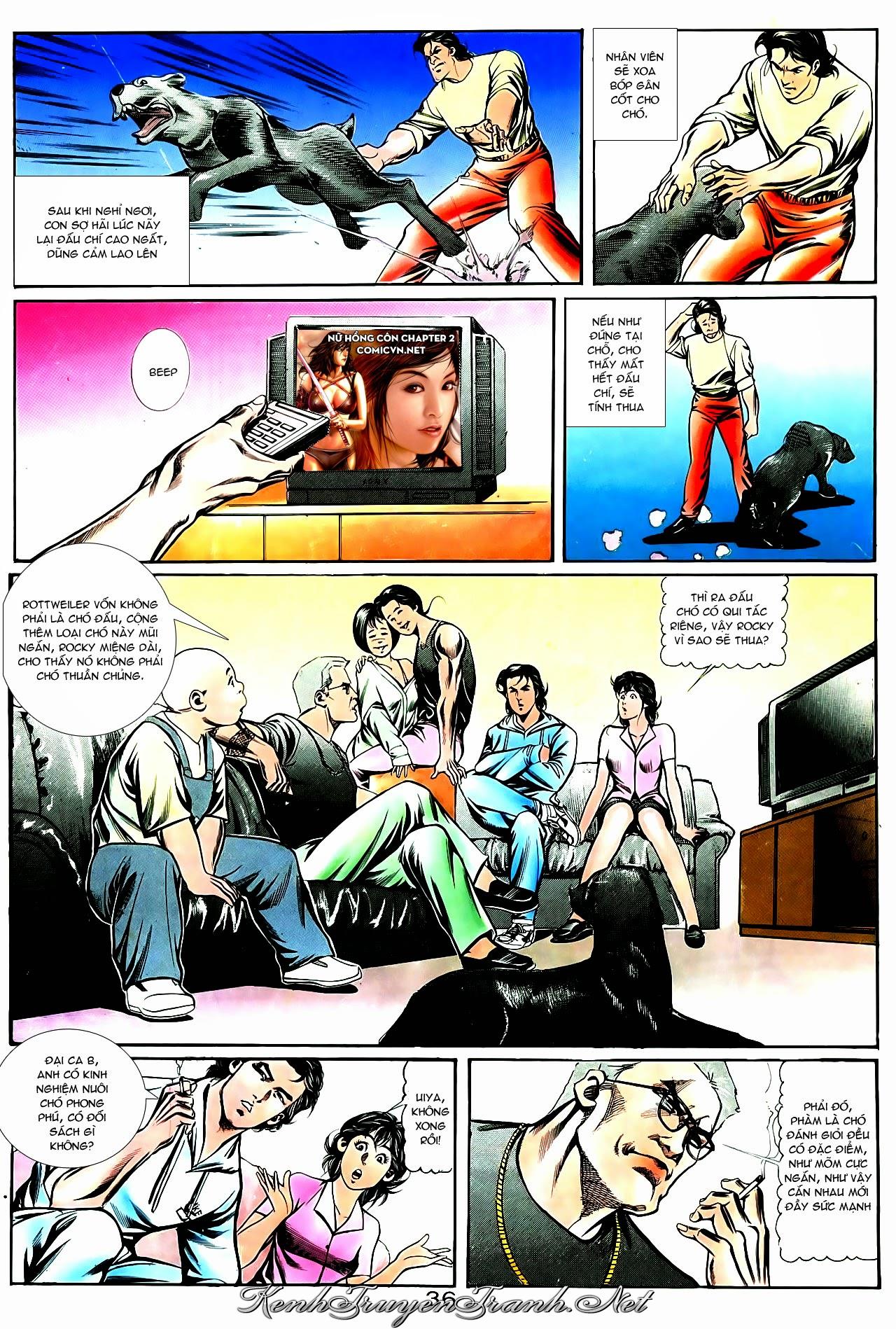 Truyện VI