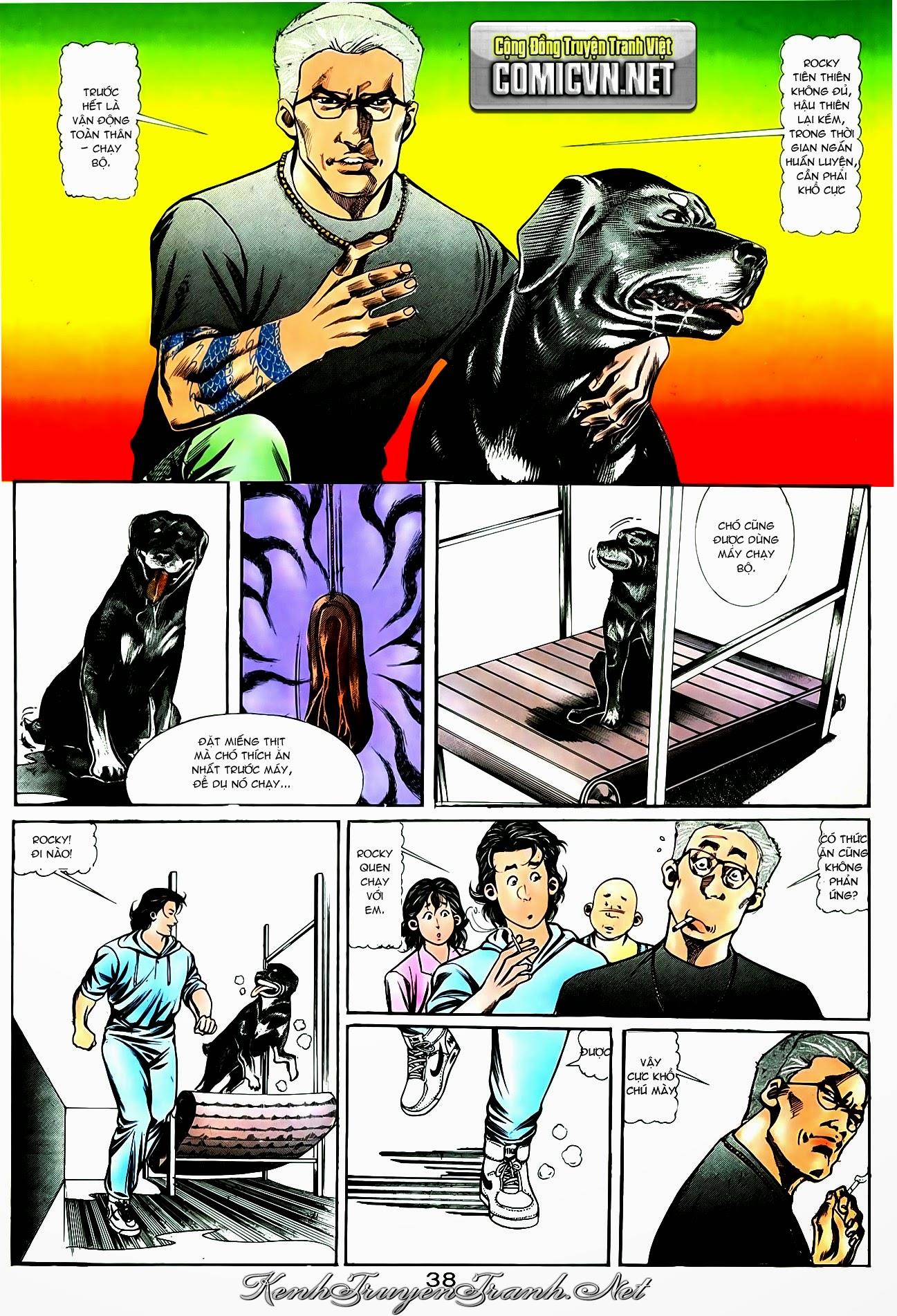 Truyện VI