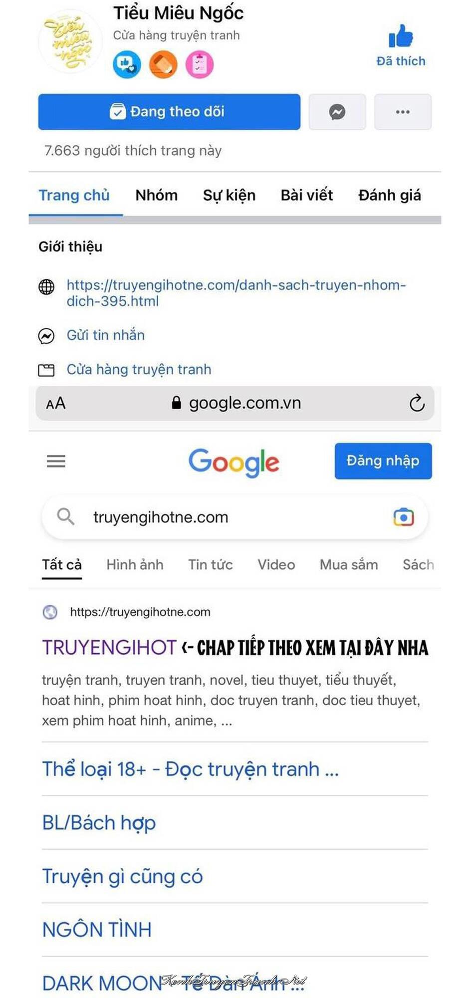Truyện VI