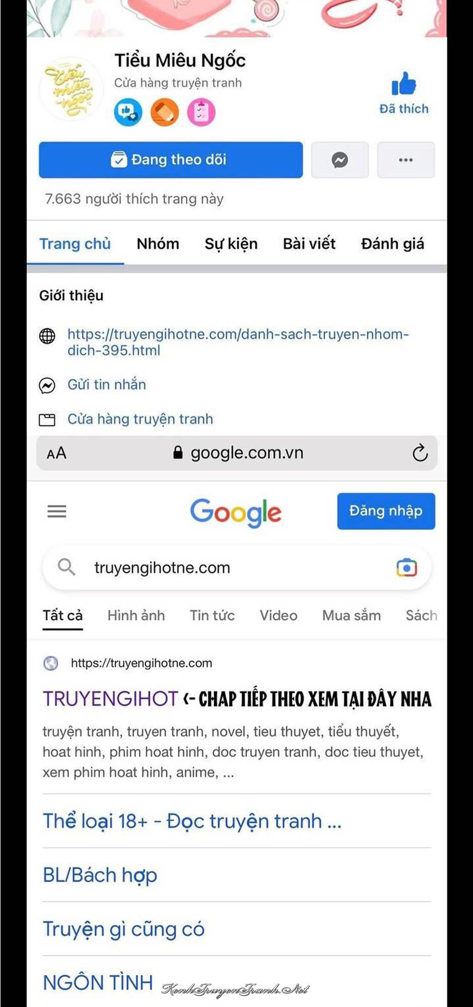 Truyện VI