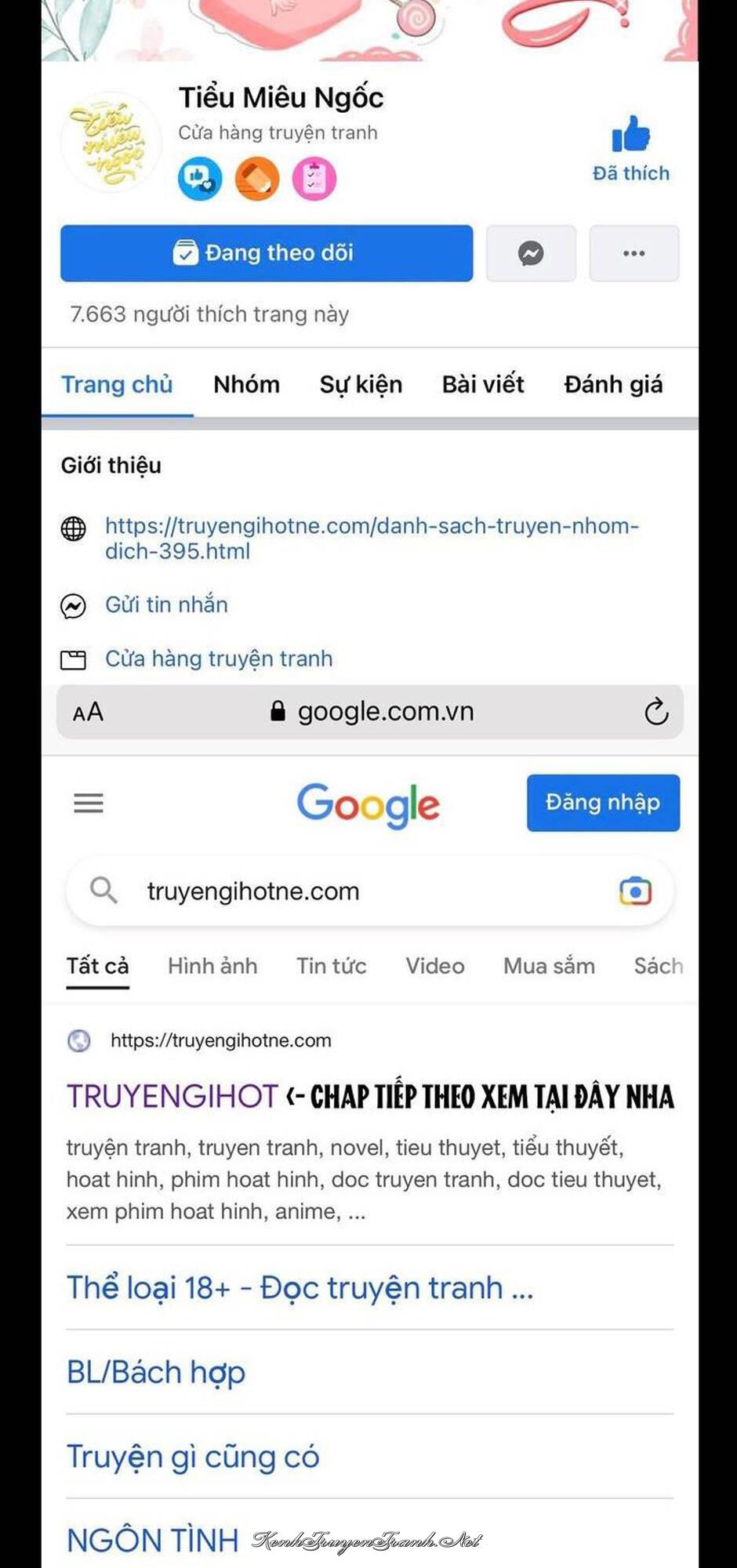 Truyện VI