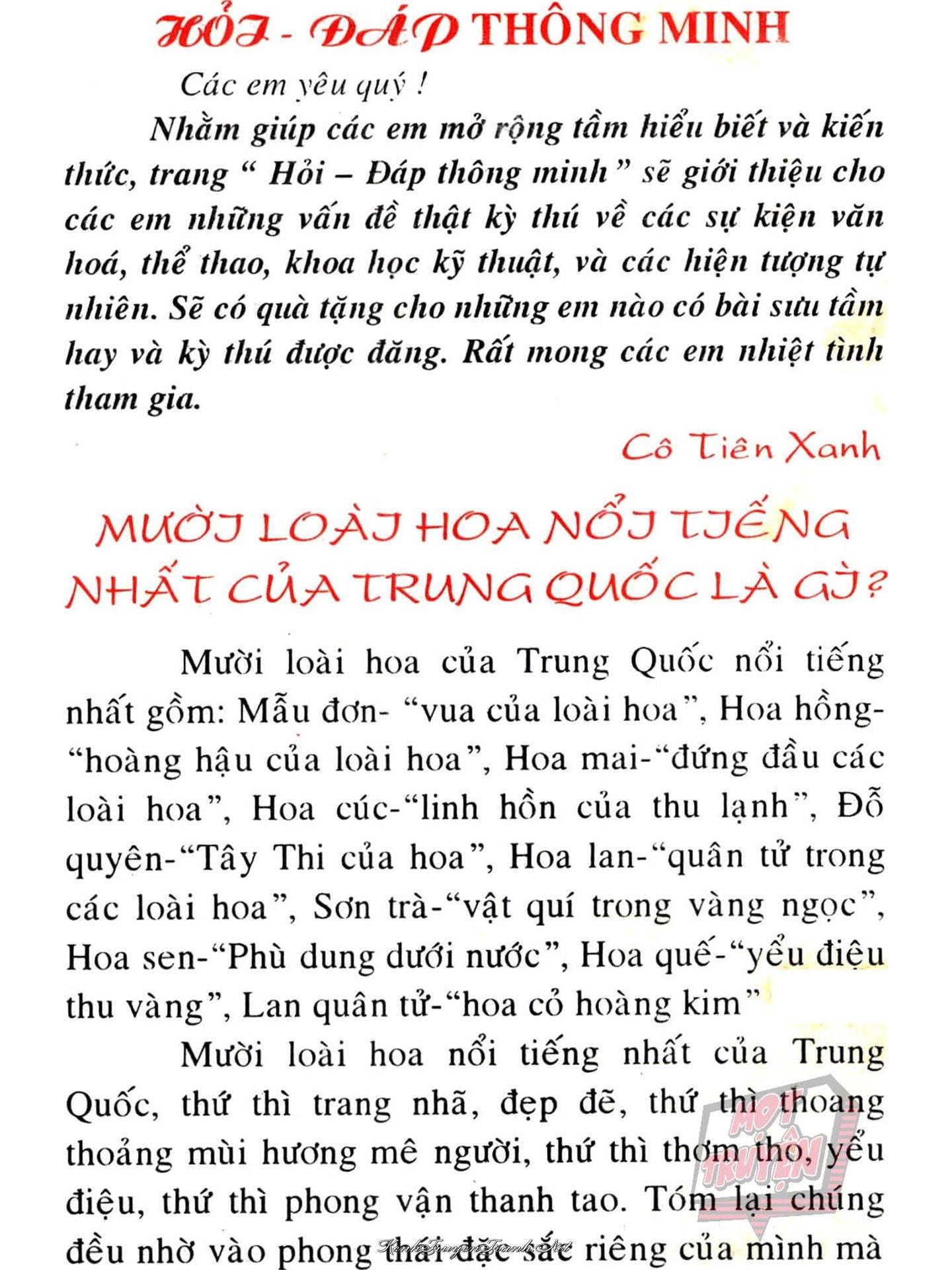 Truyện VI