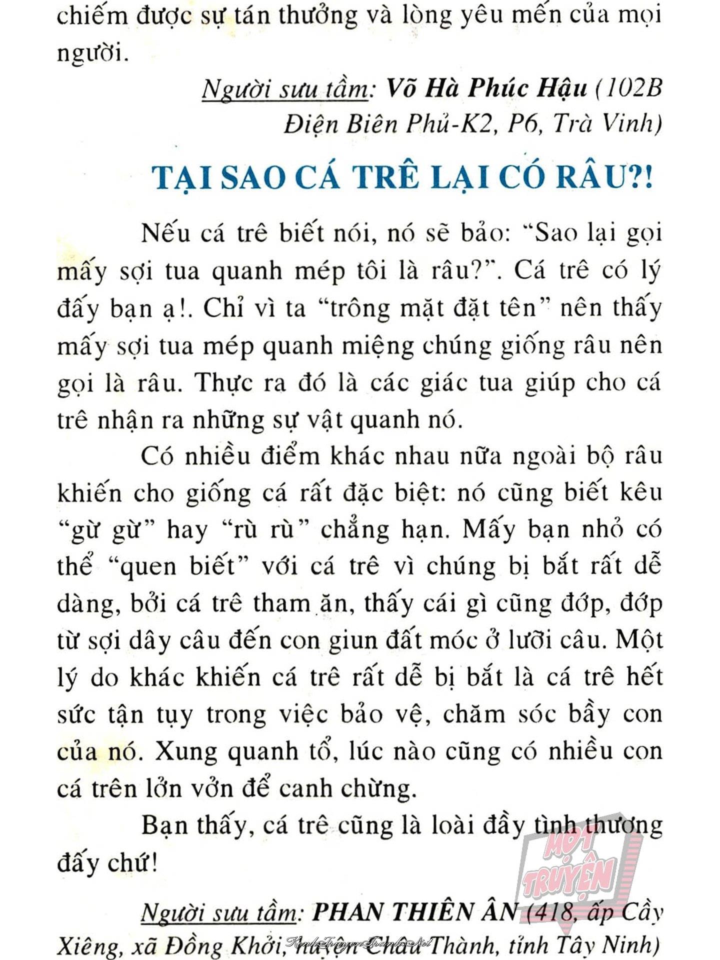 Truyện VI
