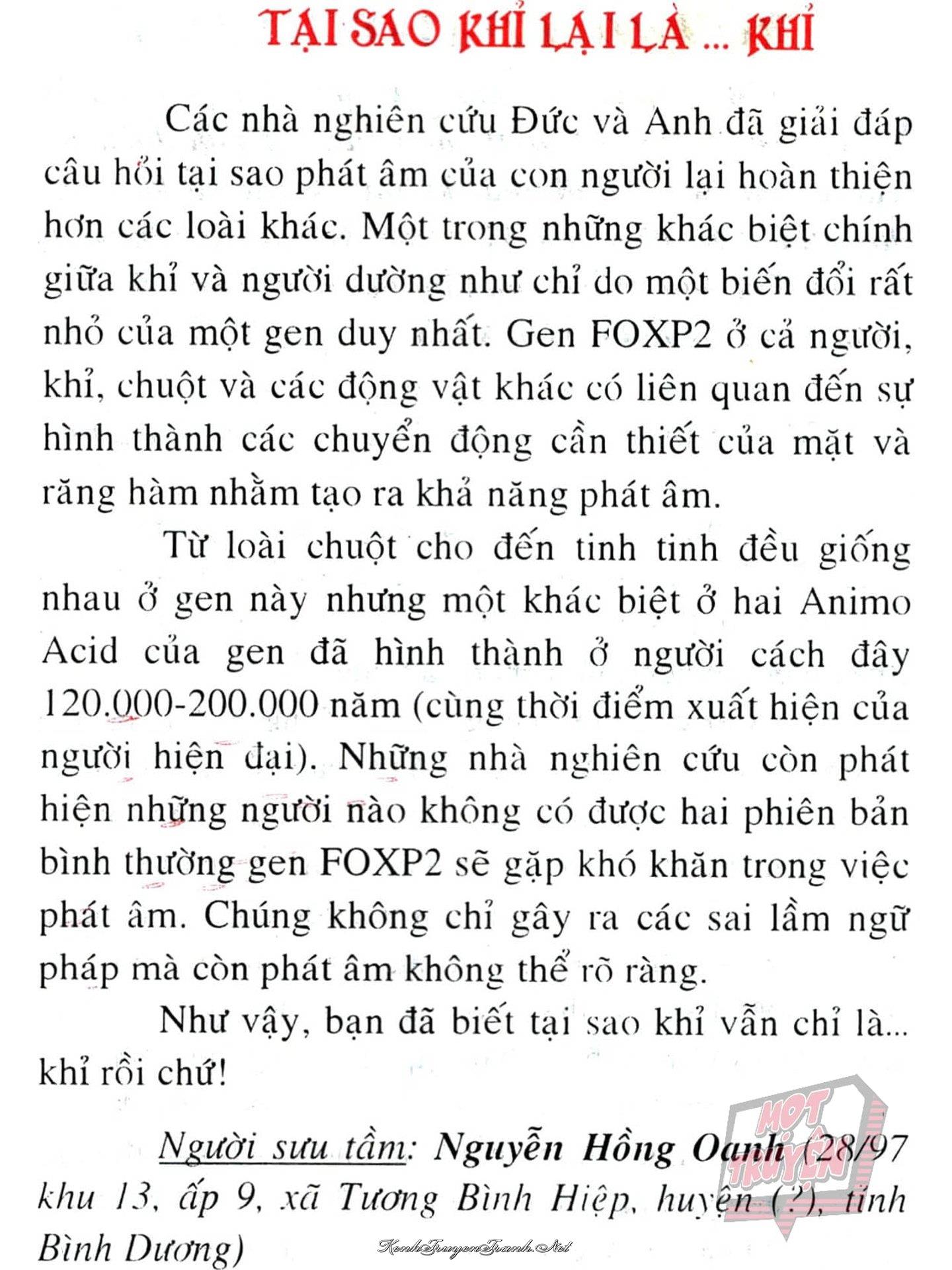 Truyện VI