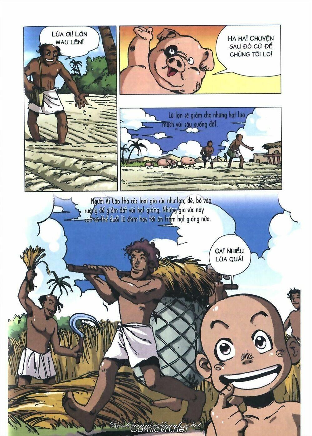 Truyện VI